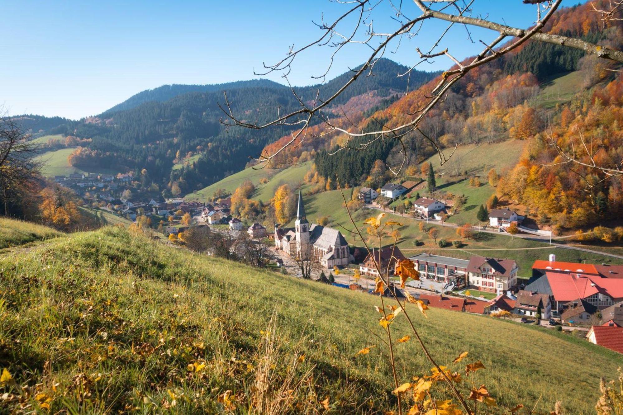 Ferienwohnung am Kapellenberg - am Rande des Nationalparks Schwarzwald Bad Peterstal-Griesbach Exterior foto